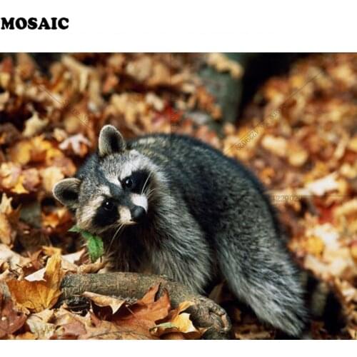 Full Square Diamond Embroidery Raccoon,red panda,5D DIY Diamond Painting animal Cross Stitch,Mosaic Pattern Gifts E01