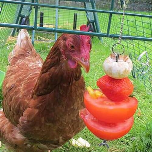 Bird Chicken Veggies Skewer Food Fruit Holder for Hens Hanging Vegetable Feeder B2QB