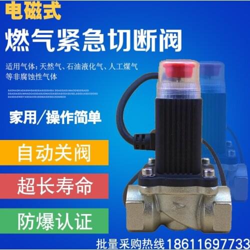 Gas emergency leakage solenoid valve gas shut-off valve DN 15 DN 20