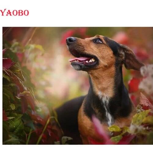 Full Round&square Drill 5D DIY Diamond Painting Professor Dachshund 5D Mosaic Diamond Embroidery Cross Stitch Kits home decor