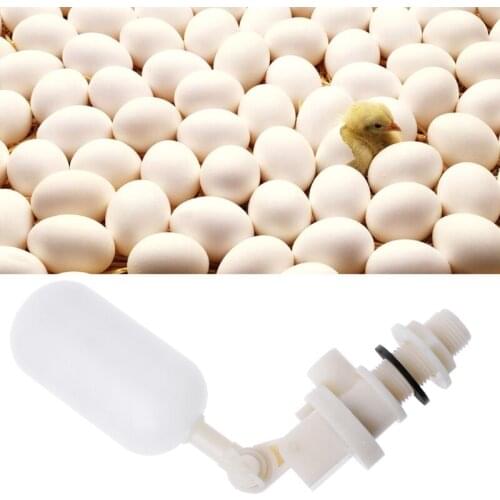Pet Water Float Valve Quail Poultry Chicken Water Drinker Farm Equipment