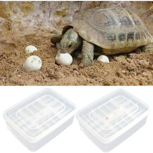 Reptile Egg Tray Snake Lizard Egg Hatching Incubator Box Gecko Dedicated Hatcher Device Tortoise Turtle Incubator Supplie