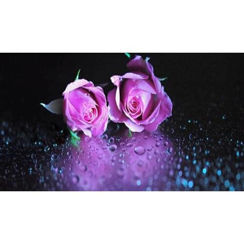 Mirrored Pink Roses Laying on Rain Covered Glass Art print Silk poster Home Wall Decor