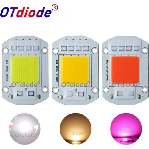 Smart IC AC COB LED Strip 20W 30W 50W 110V 220V Driverless DIY Flood Light Hight power LED COB Diode Warm white full spectrum