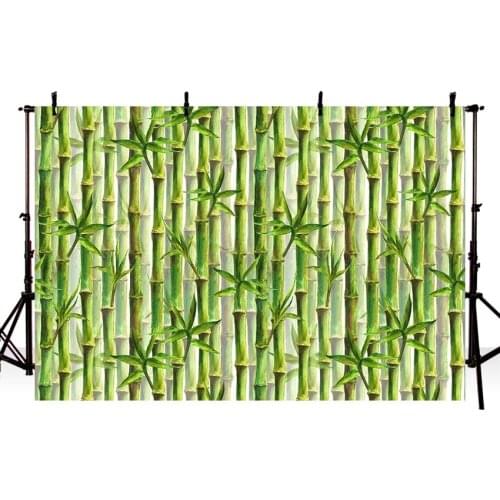 Photography Backdrop Bamboo Forest Panda Spring Green Background Photo Studio Photocall Shoot Prop Decor Fabric New LV1813