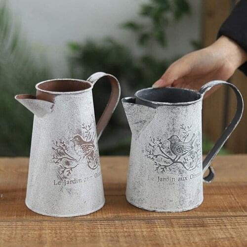 Watering Can Vase French Jug Home Decoration Garden Decoration Vase Flower Arrangement Iron Flower Making Gardening