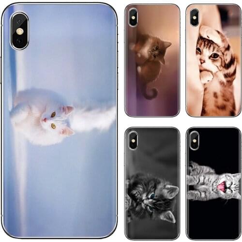 Wallpaper-Furry-C-Cat-Print Silicone Phone Skin Case For Huawei P30 P40 P20 P7 P8 P9 P10 Lite Plus Pro 2015 2016 2017 Mini