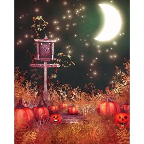 VinylBDS Backdrop Fantasy Sky Bright Moon Halloween Photographic Background Pumpkin Kate Background Backdrop