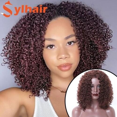 Short Hair Afro Kinky Curly Wigs With Bangs For Black Women Synthetic African Ombre Glueless Cosplay Wigs High Temperature Sylha