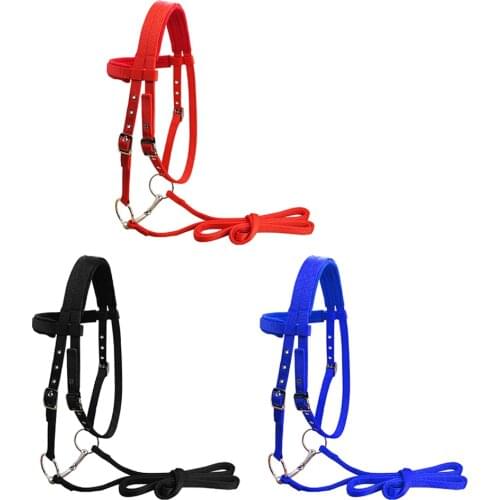Horse Bridle Rein Harness Headstalls Removable Snaffle Nylon Webbing