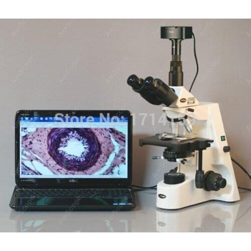 Laboratory Microscope--AmScope Supplies 40X-2500X Infinity Compound Microscope + 5MP Camera Win7 & Mac OS