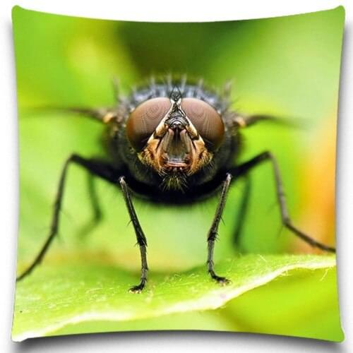 Flys face pattern cotton polyester square decorative pillow case home sofa decorative