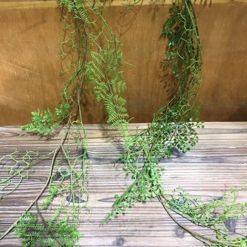 1.3 m long fern rattan