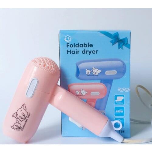 Fan Mini hair dryer for students Cartoon Female classmates favorite small power wind does not damage the hair Can fold 450W