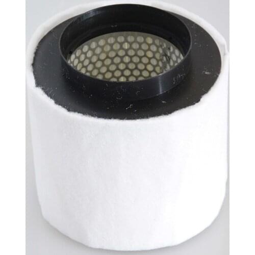 Car Engine Air Filter for Audi A8l 4.2l 2010-2012 A8l 6.3l 2011- S8 4.0tfsi 2012- 4h0 129 620 Df 4h0129620df