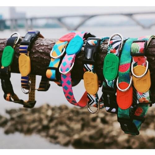 Dog Collar Dog Supplies Colorful Series Dog Collars Cool Pet Dog Collar Designer Comfortable Safety Dog Pen Pet Collar Dog Stuff