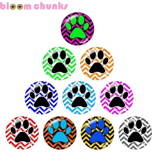DOG paw Multicolor 10pcs mixed 12mm/18mm/20mm/25mm Round photo glass cabochon demo flat back Making findings S1178