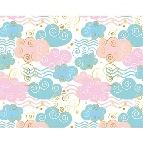 Colorful clouds newborn background photo studio vinyl kids photo shots backdrops for photo Studio accessories photophone NB-205