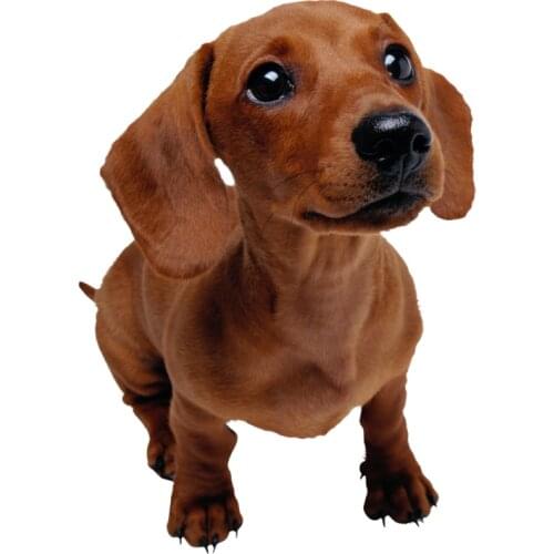 S40707# Various Sizes Self-adhesive Decal Dachshund Car Sticker Waterproof Auto Decors on Bumper Rear Window