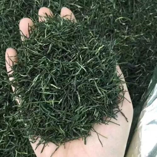 2021 China New Early Spring Xinyang Maojian Tea for Lose Weight Tea Green Health Care Loss Slimming Tea 250g