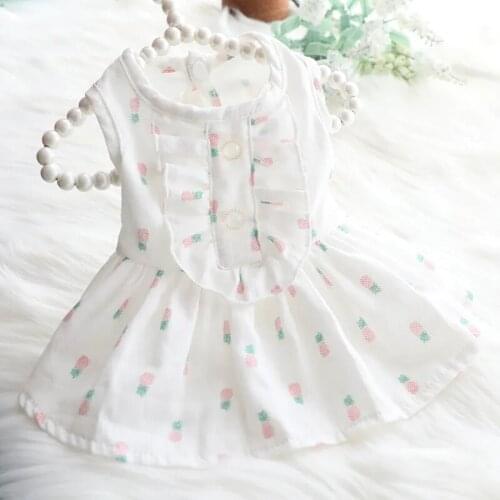 Dog clothes summer thin cat princess cute skirt rabbit clothes teddy court lady pet clothes