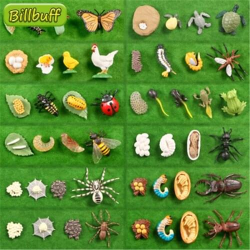 New Simulation Insect Animal Model Figures Mini Chicken Frog spider Mosquito Whale Animal Poultry PVC Figures Dolsl Toys Gifts