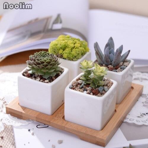 NOOLIM Set of 4 Hexagon Flowerpots White Ceramic Succulent Plant Pot with Bamboo Stand Home Decor Bonsai Planters Office Decor