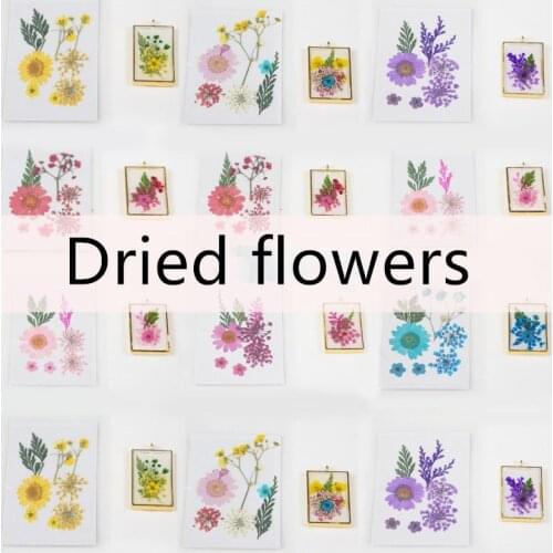 QIAOQIAO DIY Dried Flowers Leaf UV Resin Decoration Flower Dry Beauty Nail Art Decals Epoxy Mold DIY Filling Jewelry