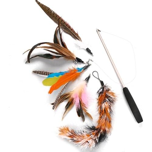 6pcs Pet Cat Toy Fishing Rod Retractable Feathers Funny Cat Pole with Five Replacement Head Pet Interactive Toys for Cats Kitten