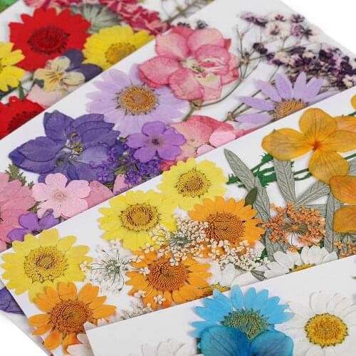 1pcs Real Dried Flower Dry Plants For Aromatherapy Candle Epoxy Resin Pendant Necklace Jewelry Making Craft DIY Accessories