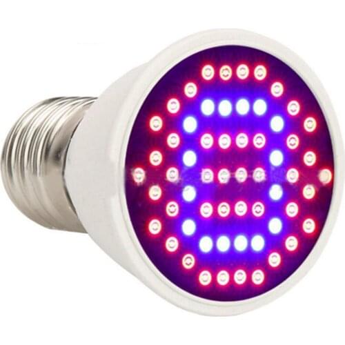 Фитолампы для растений SLINYA China At AliExpress