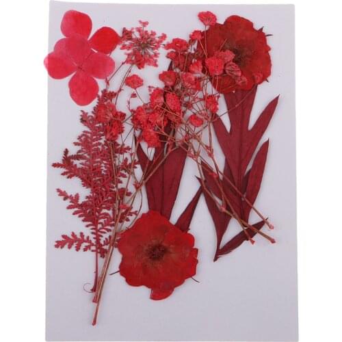 Natural Dye Real Press Dried Flower Leaves For Epoxy Resin Jewelry Craft DIY