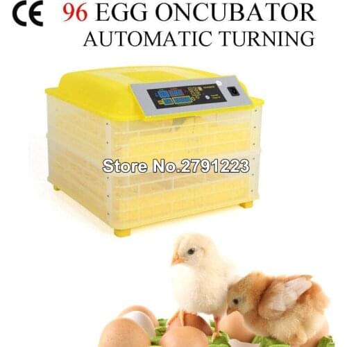 110V/220V Egg Incubator Hatcher Digital Auto-Turning 96 Eggs Clear Egg Incubator Automatic Egg Turning Temperature Control