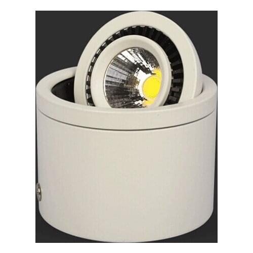 Factory Wholesale White shell 10W Warm White/Cold White Super Bright COB Surface Mounted led down light 85-265V Free shipping