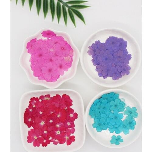 Verbena Hybrida Voss Pressed Flowers Natural Dried Flowers for Art Resin Supplies DIY Candle Making24pcs/bag
