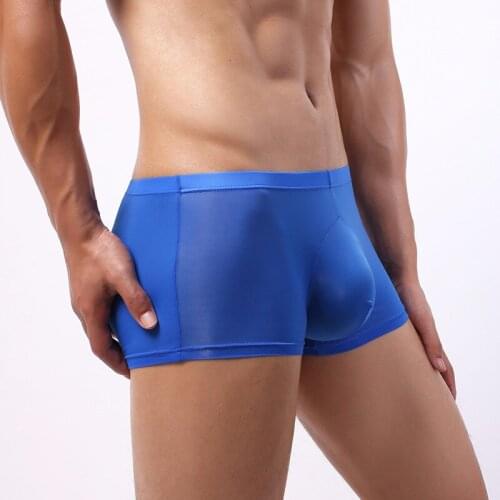 Sexy Underwear Men Boxer Shorts Ice Silk Semi-transparent Panties Man Solid U Convex Pouch Underpants Cueca calzoncillo M-XXL