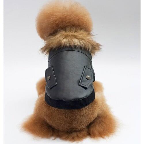 Winter dog clothes for small dogs Leather clothing fashion warm pet cat dog hoodies teddy french bulldog Pomeranian dog jacket