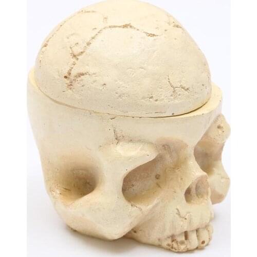Human Skull Statue Sculpture Skull Figurine Halloween Decoration Resin Crafts Medical Props Bar Counter Home Office Decoration