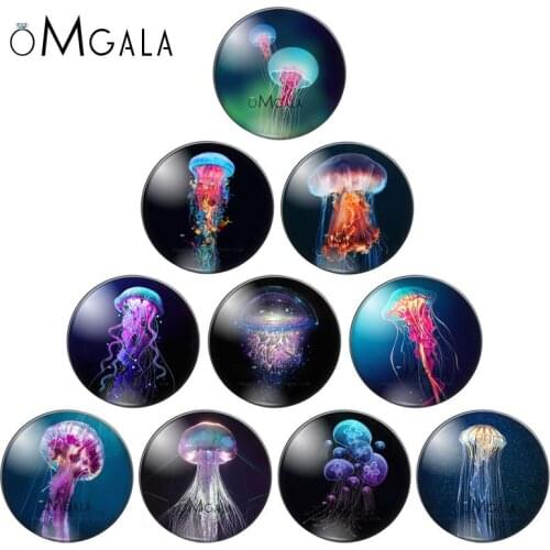 New Beautiful Jellyfish Patterns 10pcs 8mm/10mm12mm/18mm/20mm/25mm Round photo glass cabochon demo flat back Making findings