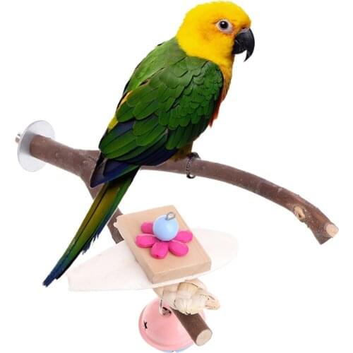 20cm Parrot Raw Wood Fork Tree Branch Stand Rack Toy Hamster Branch Perches For Bird Cage Pet Bird Wooden Parrot Stand