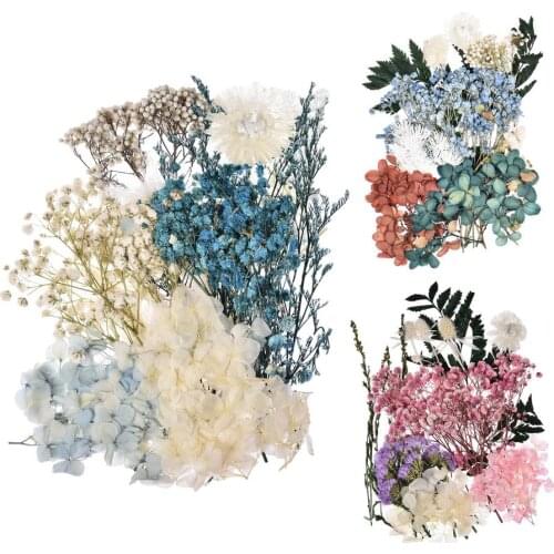 Real Dried Pressed Flowers Leaves DIY Candle Decoration Resin Jewelry Crafts Making Preserved Flower New Decoration Home