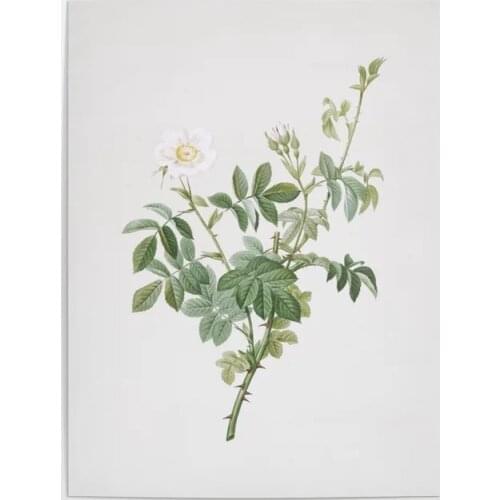 Home Decor Prints Green Leaf Cartoon Gifts Painting HD Pictures Wall Art HD Modular Canvas Poster Bedside Background No Frame