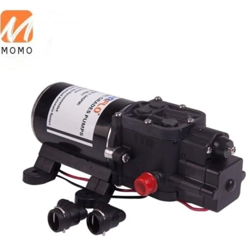 100PSI 12v dc 5.1LPM mini automatic electrical car wash machine water pump prices list