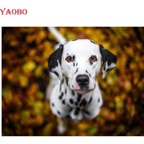 Full square round diamond painting Dalmatian dog 5D DIY diamond embroidery crystal home decoration cross stitch wall sticker