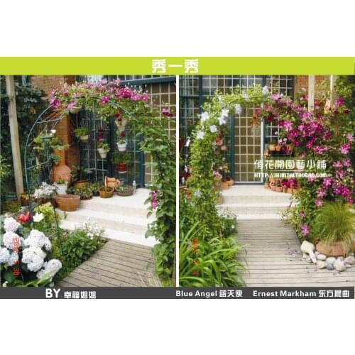 Climbing frame, wedding flower arch shelf road on rattan shelf loofah/blackish green grapes