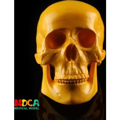 Resin skull Halloween gifts personal ornaments home accessories GXGT005