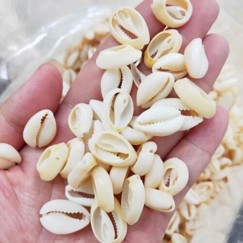 50pcs 1.6-2cm Small Bulk Cut Beach Sea Natural Shell Conch Beads Cowry Cowrie Tribal Jewelery Craft Accessories holes DIY