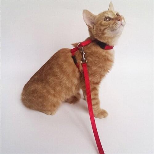 2018 New Cat Harness And Leash Hot Sale Nylon Products For Animals Adjustable Pet Traction Harness Belt Cat Kitten Halter Collar