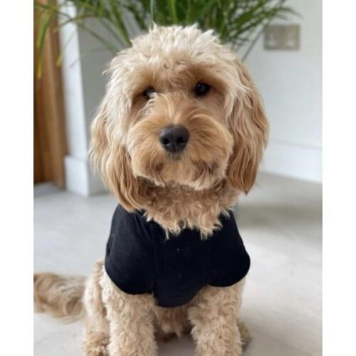 Pet Dog Summer Cotton T-shirt Vest Puppy Clothes Costume For Small Medium Dogs French Bulldog Pug Schnauzer Corgi GKC81