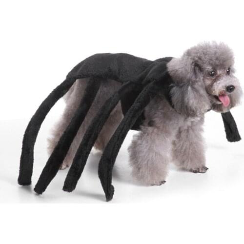 Cool Halloween Clother Pet Dog Clothes Spider Sharp Cosplay Totoro Yorkies Chihuahua Yorkshire Terrier Dog Creative Apparel